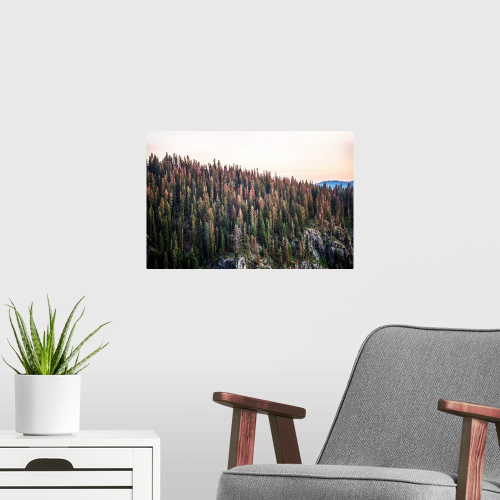 A modern room featuring View of Yosemite's wilderness in Yosemite National Park, California.