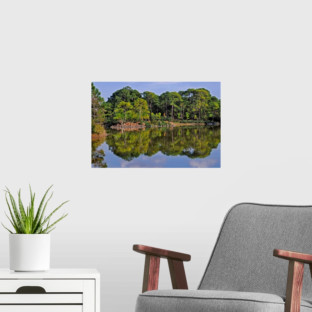 A modern room featuring A pine forest juts out on Rocky Point, at Morikami Lake.