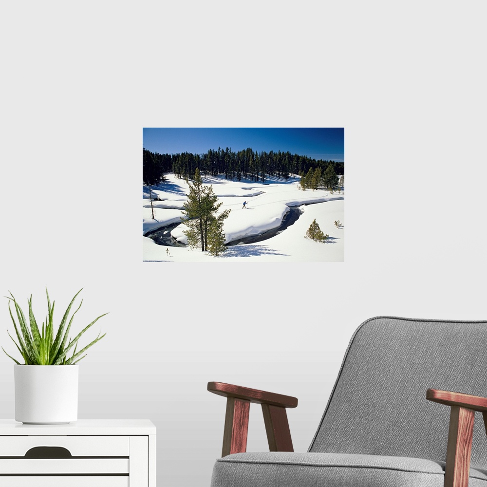 A modern room featuring Virginia Creek, with a cross-country skier, Yellowstone National Park, Montana
