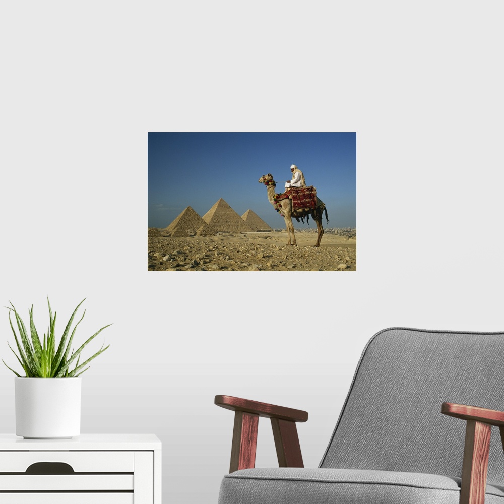 A modern room featuring Camel and rider near the Pyramids, UNESCO World Heritage Site, Giza, Cairo, Egypt