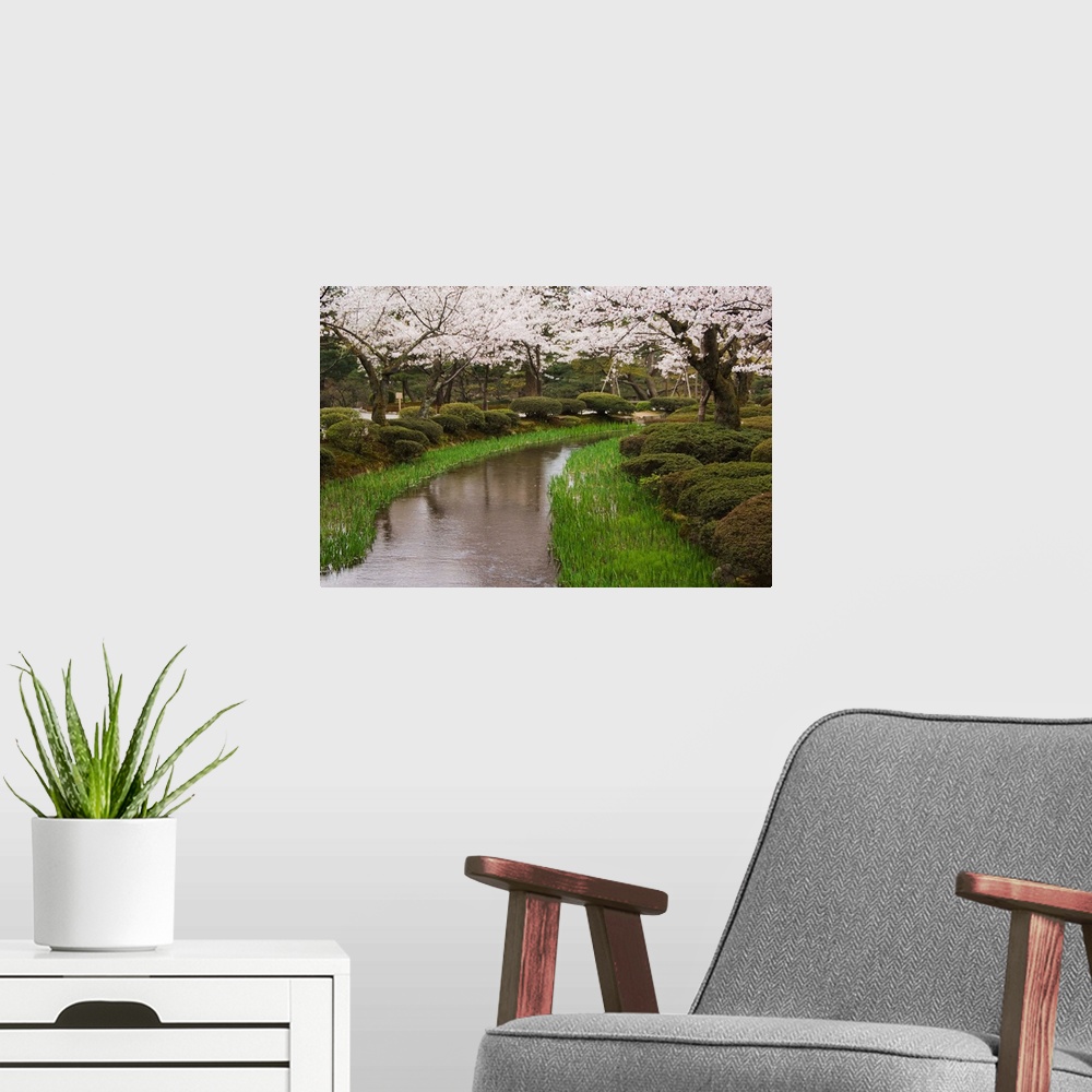 A modern room featuring Cherry blossom in Kenrokuen Garden, Kanazawa, Honshu Island, Japan