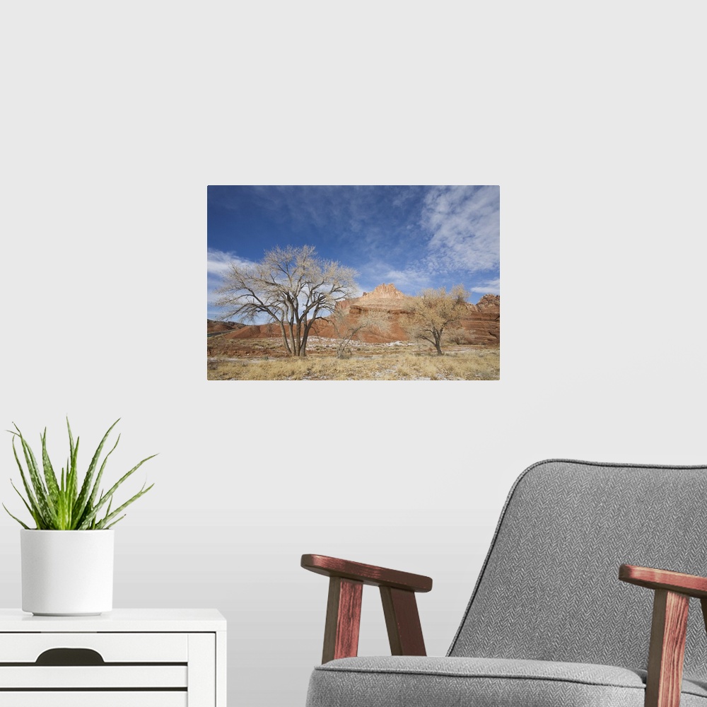 A modern room featuring Cottonwood tree and The Castle, Capitol Reef National Park, Utah