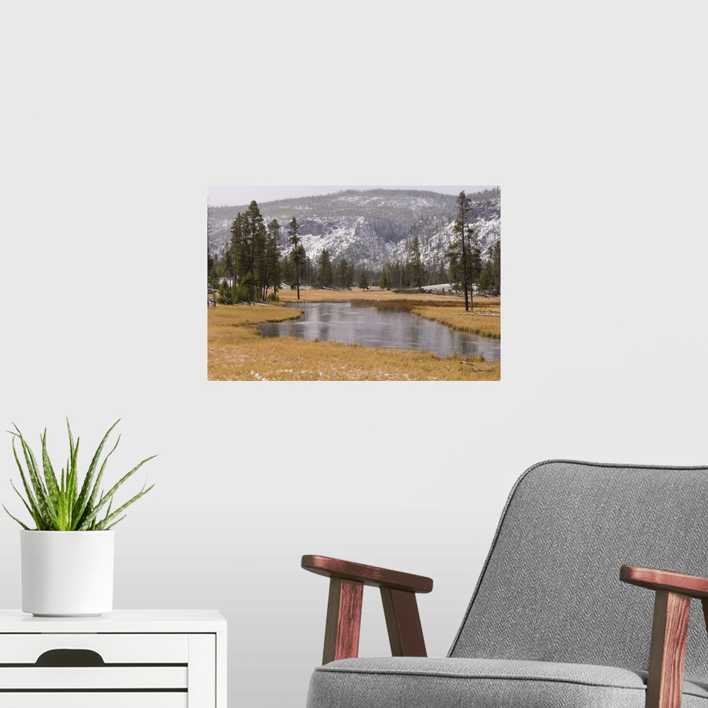 A modern room featuring Elk, Firehole River, Yellowstone National Park, Wyoming
