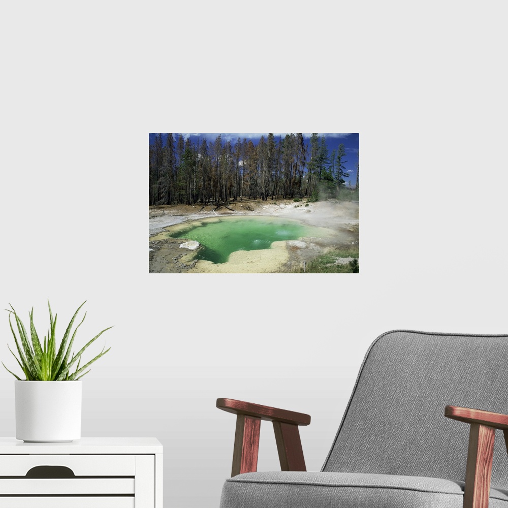 A modern room featuring Emerald Spring, Yellowstone National Park, Wyoming