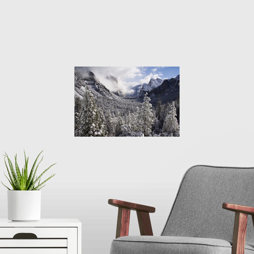 A modern room featuring Fresh snow fall on El Capitan in Yosemite Valley, Yosemite National Park, California