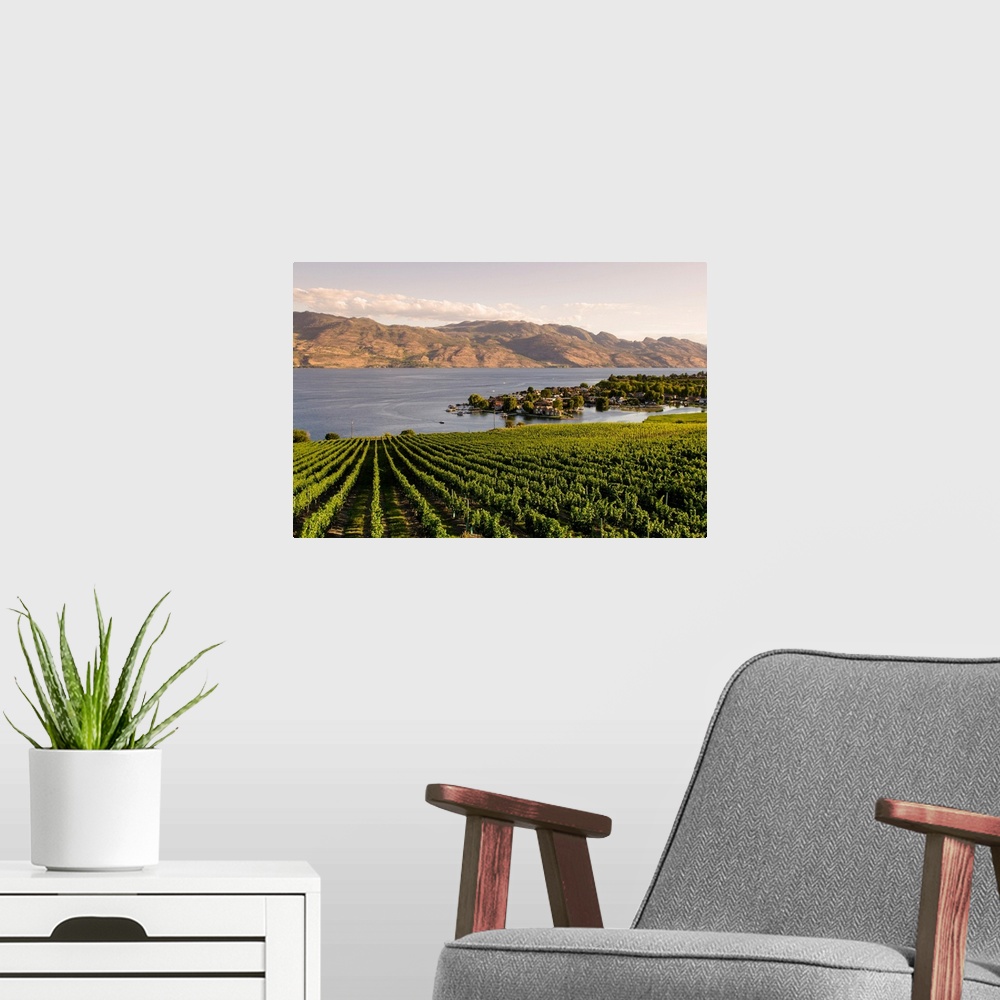 A modern room featuring Grape vines and Okanagan Lake, British Columbia, Canada