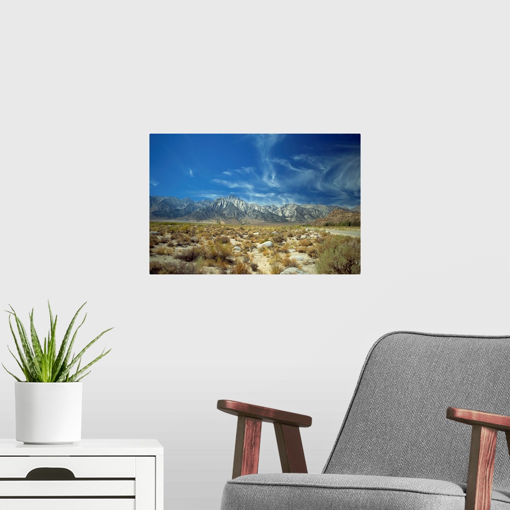 A modern room featuring High Sierras, California, United States of America, North America