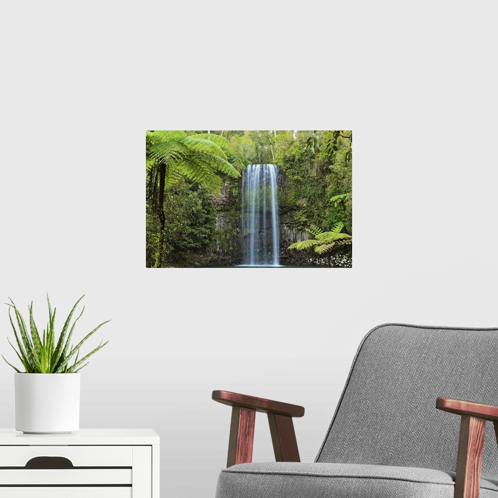 A modern room featuring Millaa Millaa Falls, Atherton Tableland, Queensland, Australia, Pacific