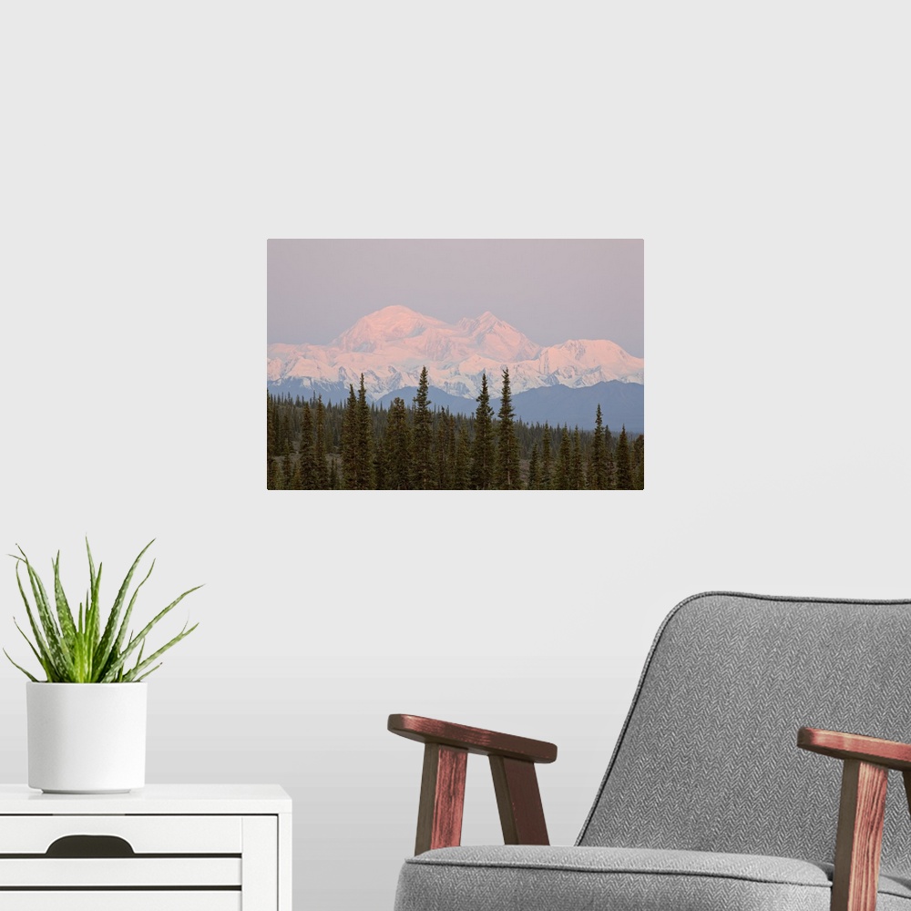 A modern room featuring Mount McKinley (Mount Denali), Denali Highway, Alaska