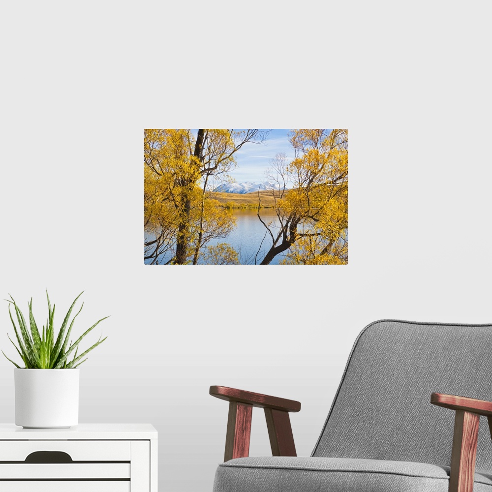 A modern room featuring Mountains and autumn trees, Lake Alexandrina, South Island, New Zealand