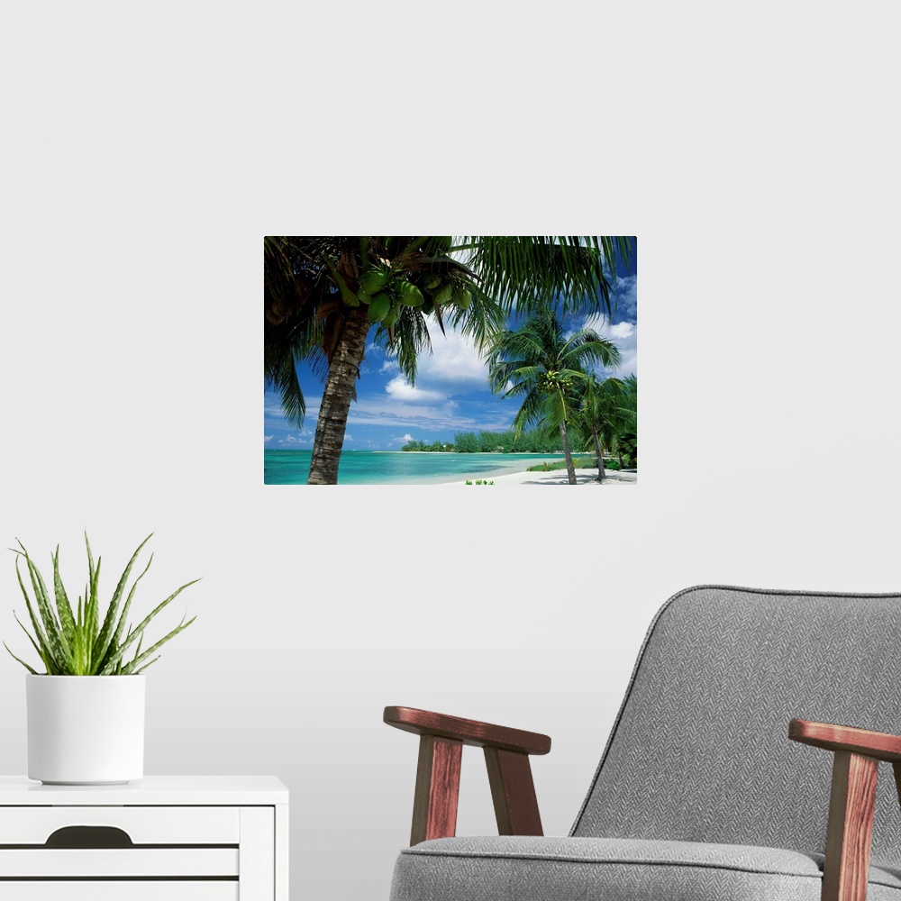 A modern room featuring Palms on shore, Cayman Kai near Rum point, Grand Cayman, Cayman Islands