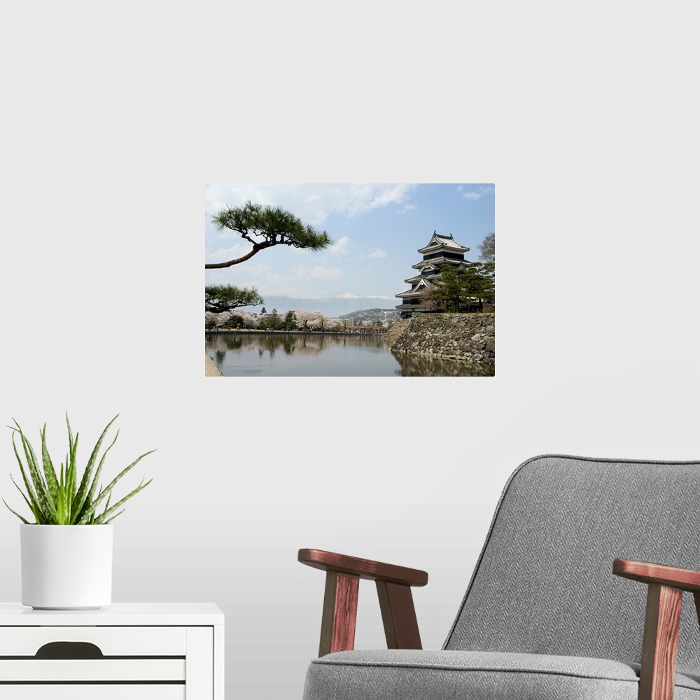 A modern room featuring Pine tree, Matsumoto Castle, Matsumoto city, Honshu island, Japan
