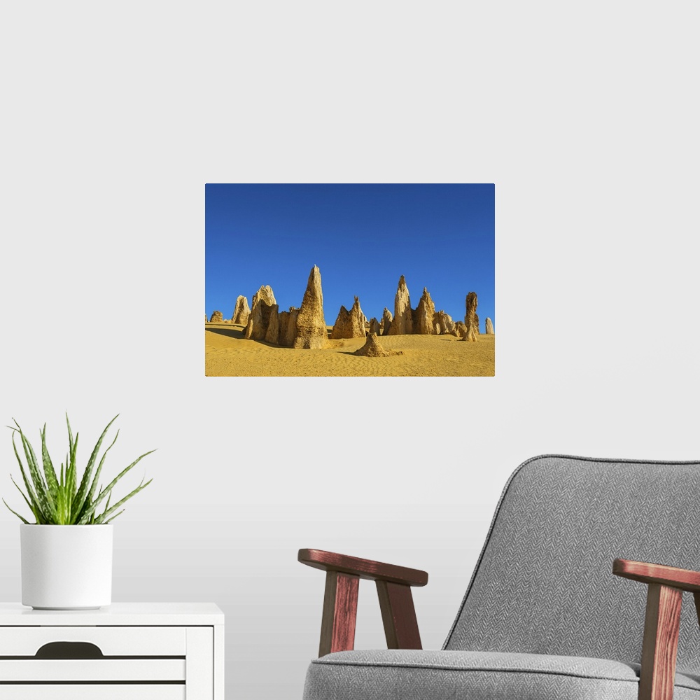 A modern room featuring Pinnacles, rare limestone formations, dated around 30000 years old, Nambung National Park, Wester...