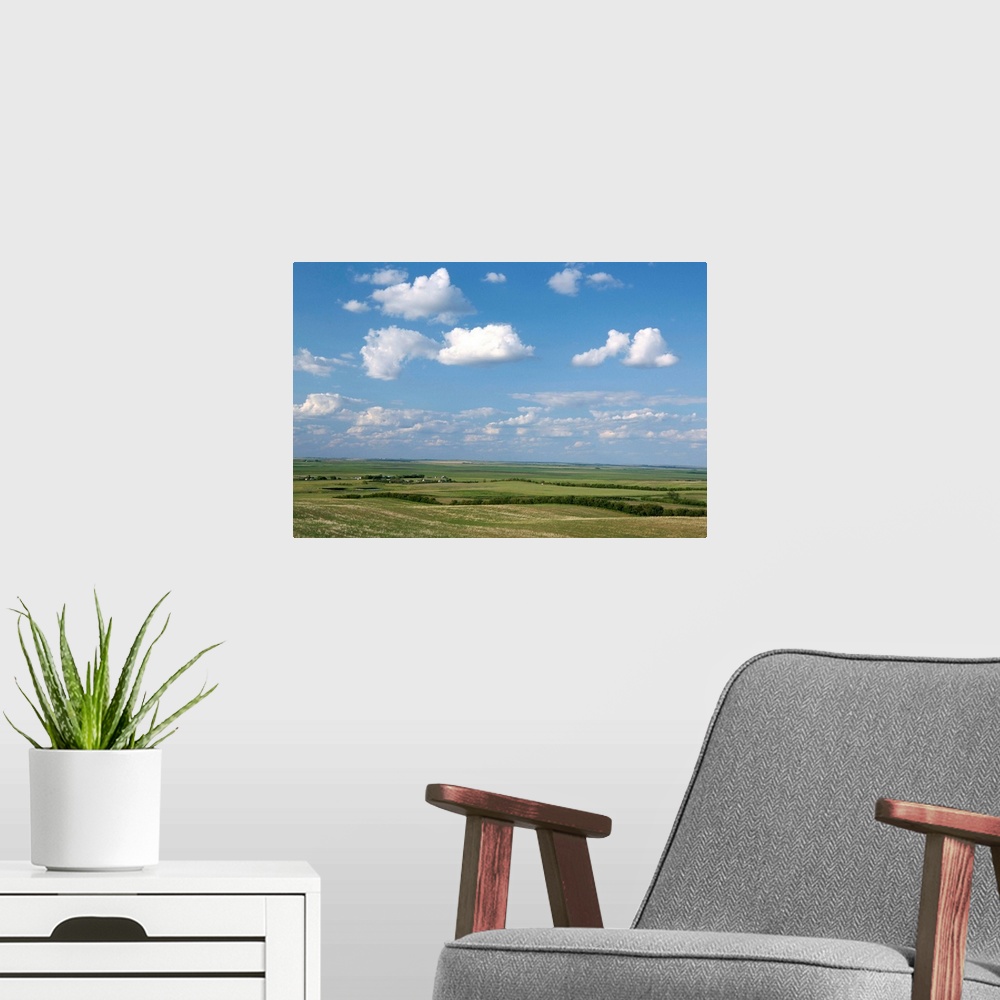 A modern room featuring Prairie farmland, North Dakota, United States of America, North America