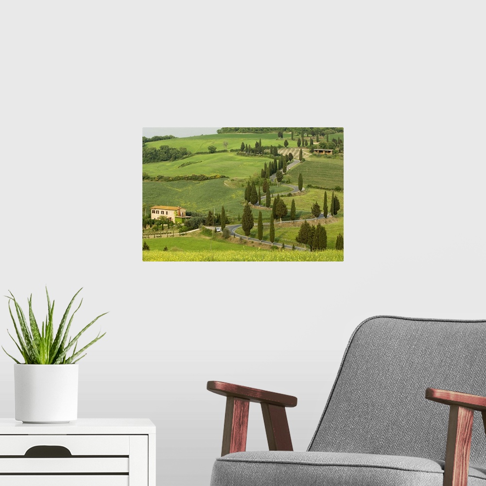 A modern room featuring Road from Pienza to Montepulciano, Monticchiello, Siena province, Tuscany, Italy