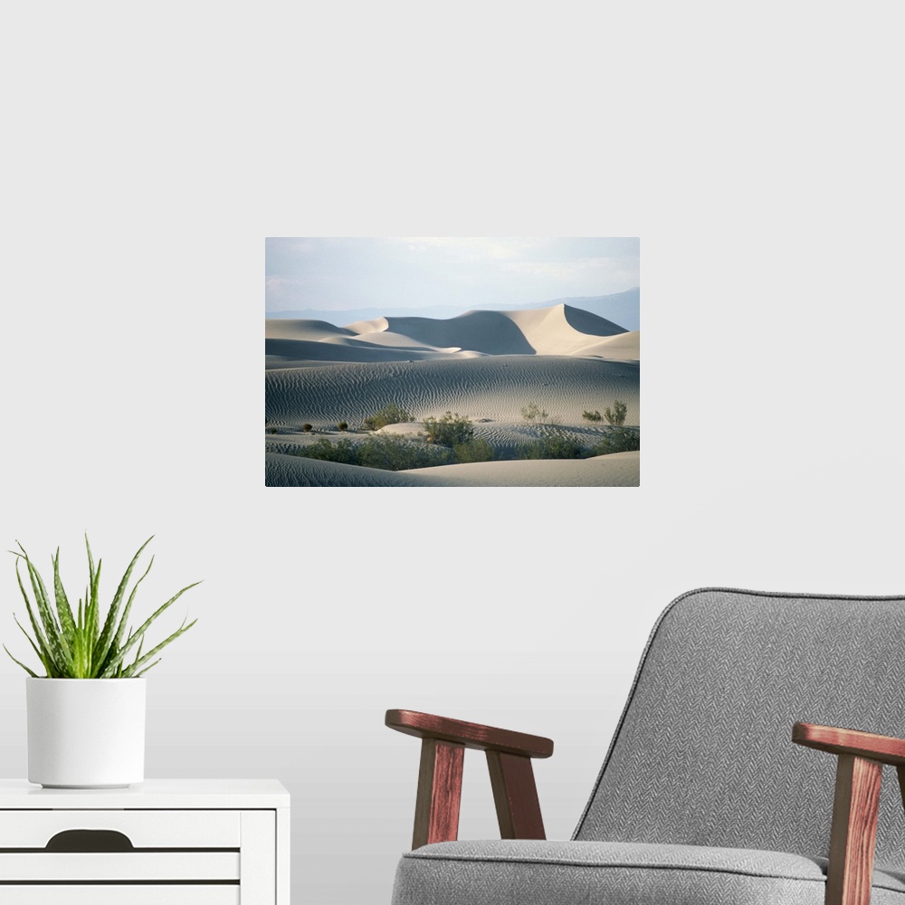 A modern room featuring Sand dunes on valley floor, Death Valley, California, USA