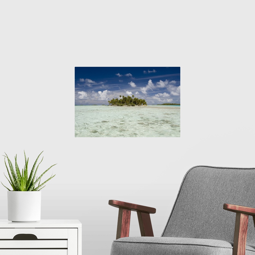 A modern room featuring Sharks, Blue Lagoon, Rangiroa, Tuamotu Archipelago, French Polynesia, Pacific Islands, Pacific