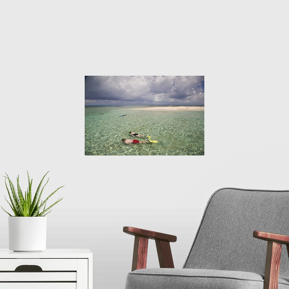 A modern room featuring Tourists snorkelling, Bird Island, Belize, Central America
