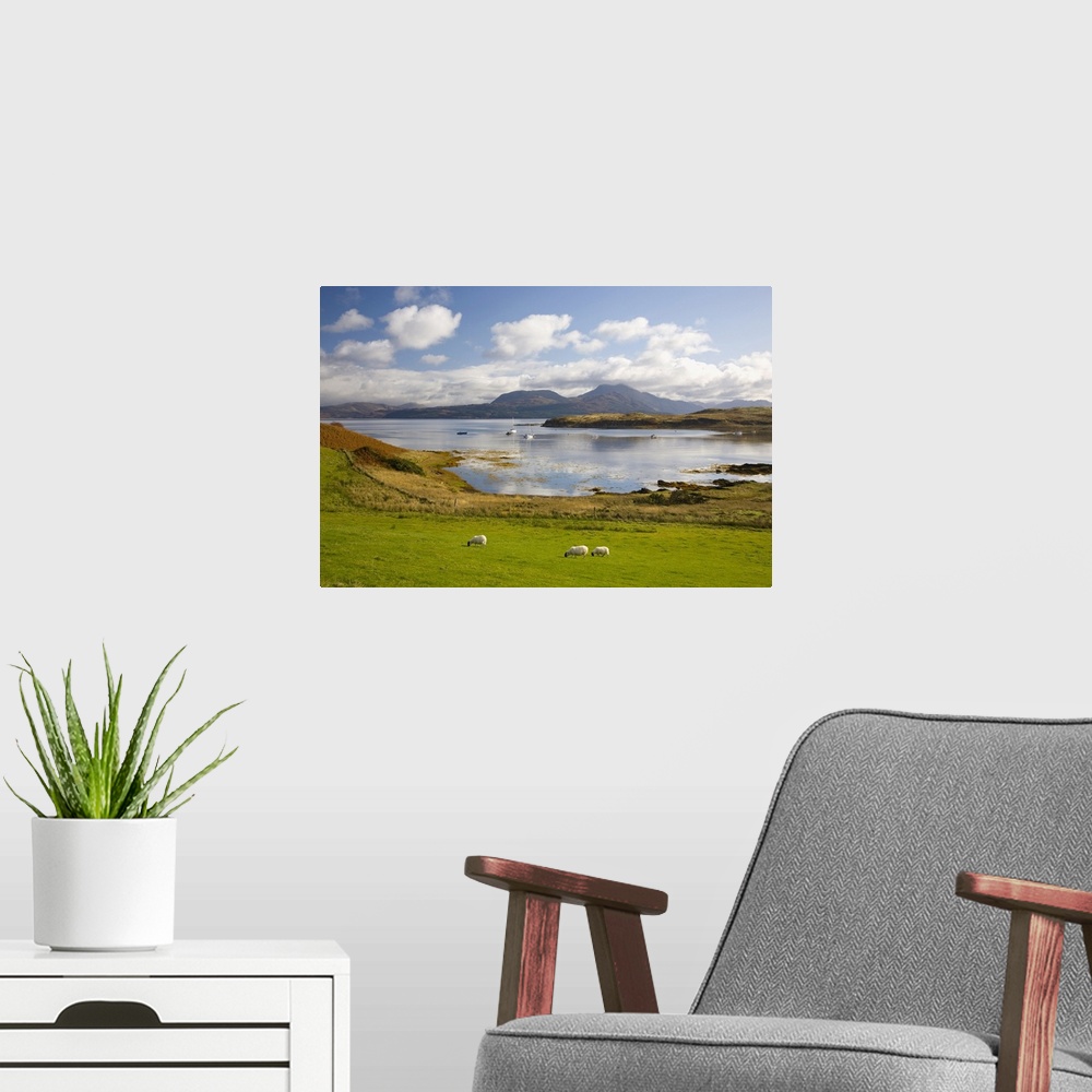 A modern room featuring View across harbour to the Sound of Sleat and hills of the Knoydart Peninsula, sheep grazing, Isl...