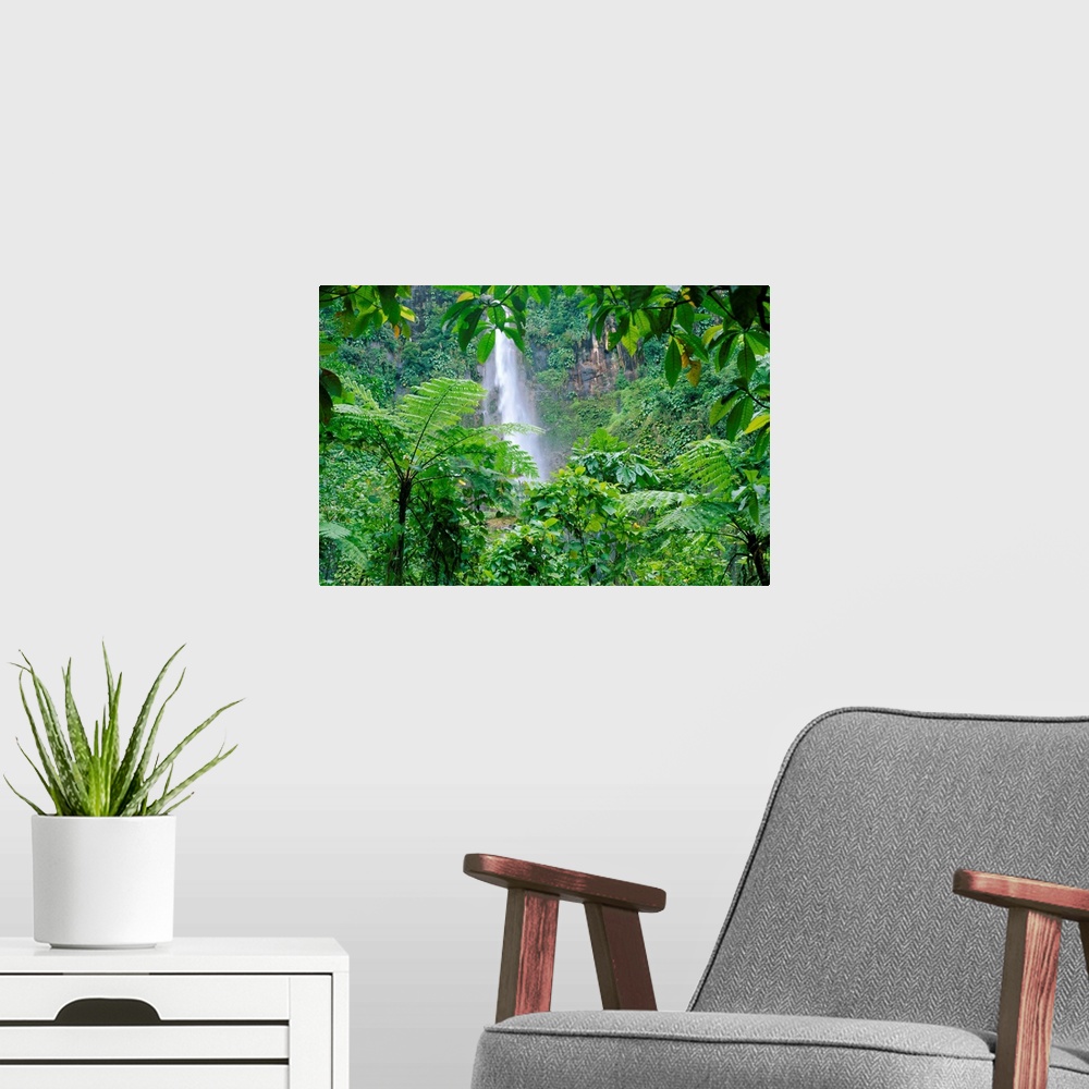 A modern room featuring Waterfall, Guadeloupe, French Antilles, West Indies, Caribbean