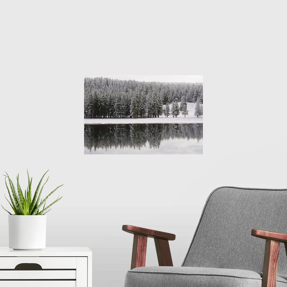 A modern room featuring Yellowstone River in winter, Yellowstone National Park, Wyoming