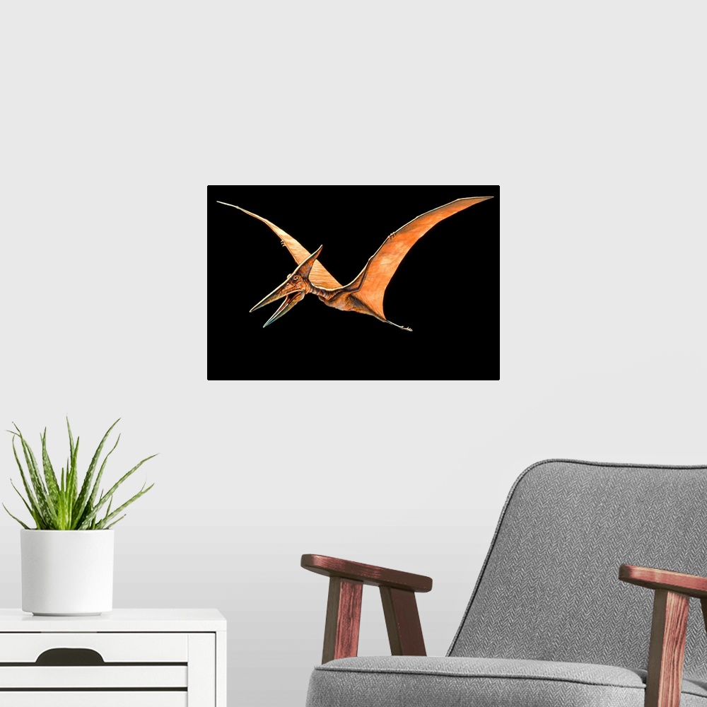 A modern room featuring Pteranodon. Artwork of the flying reptile Pteranodon sp.. This genus dates from the Upper Cretace...