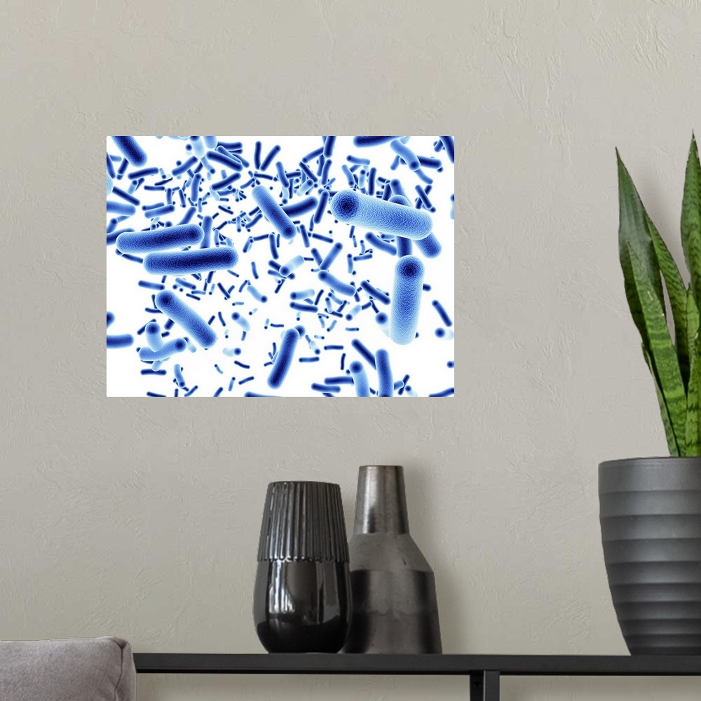 A modern room featuring Computer artwork depicting a cluster of bacteria.
