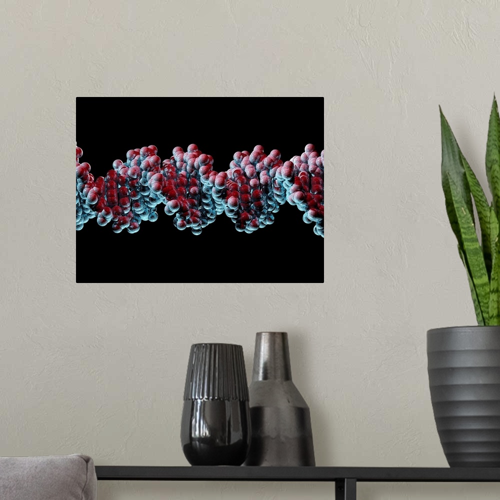 A modern room featuring DNA molecule. Computer artwork of a molecule of DNA (deoxyribonucleic acid). DNA is composed of t...