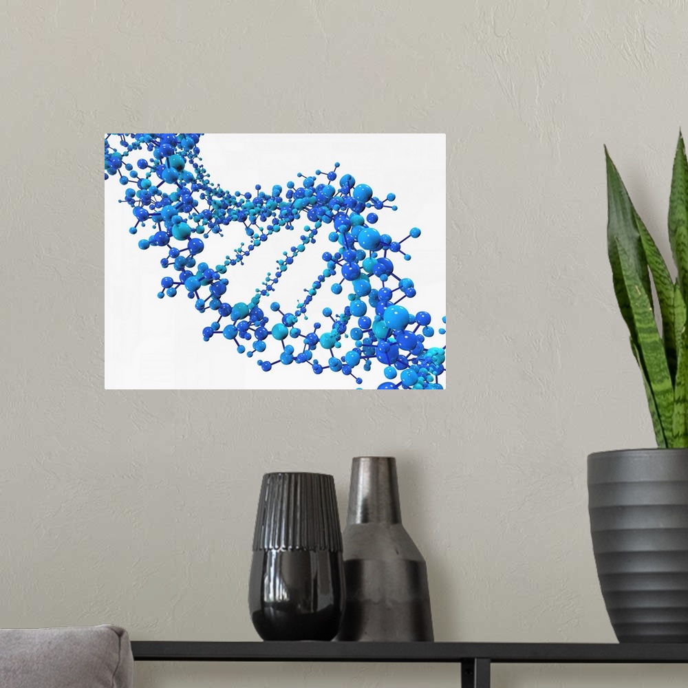 A modern room featuring Computer artwork of a DNA (Deoxyribonucleic acid) strand, made of spheres.