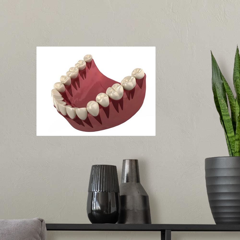 A modern room featuring Healthy teeth, computer artwork.