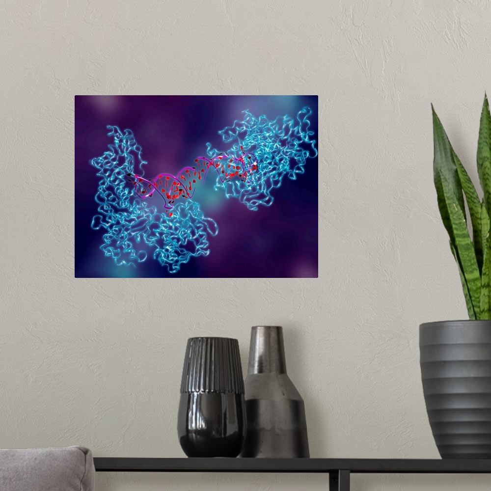 A modern room featuring Metabolic enzyme. Computer artwork of aconitase (blue), in complex with ferritin messenger ribonu...