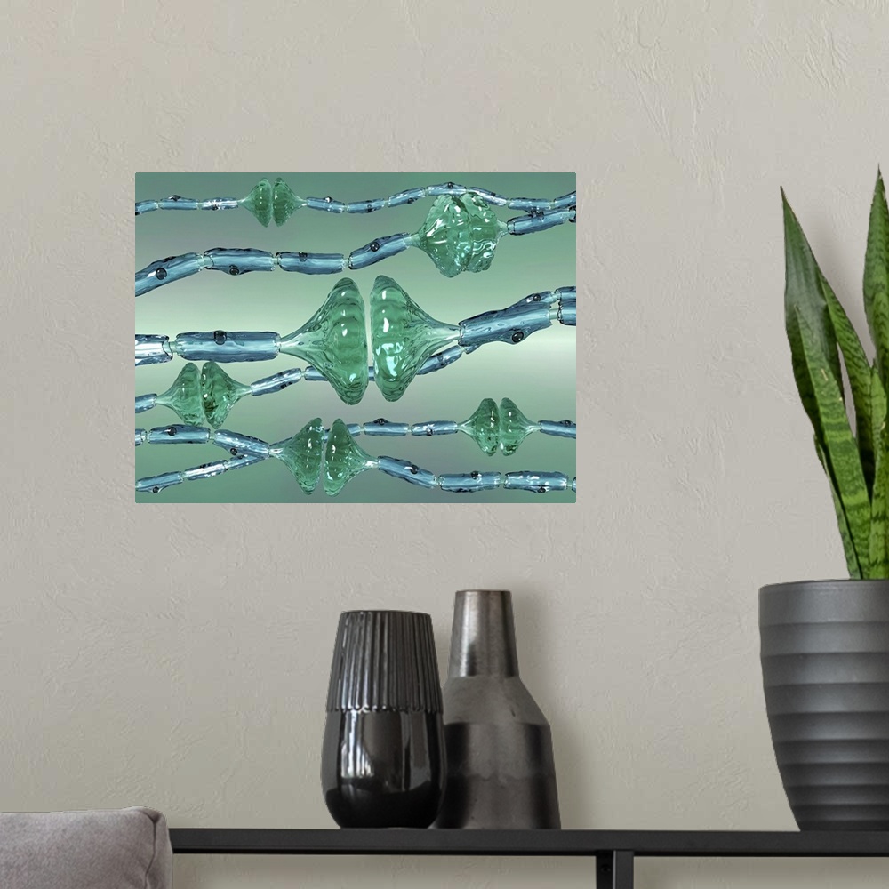 A modern room featuring Synapses. Computer artwork of synapses, the junctions between the ends (green, swollen) of two ne...