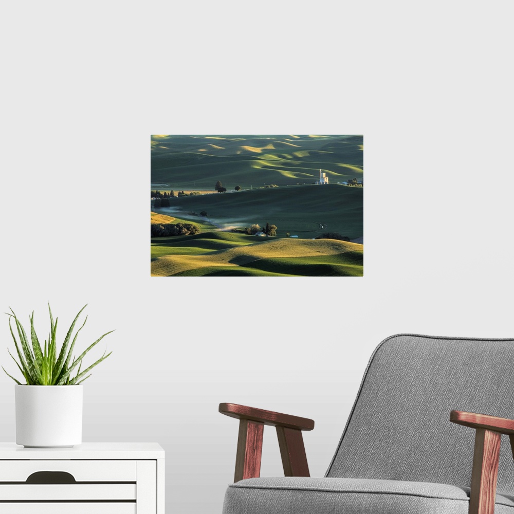 A modern room featuring Green wheat fields in the Palouse region of Washington State