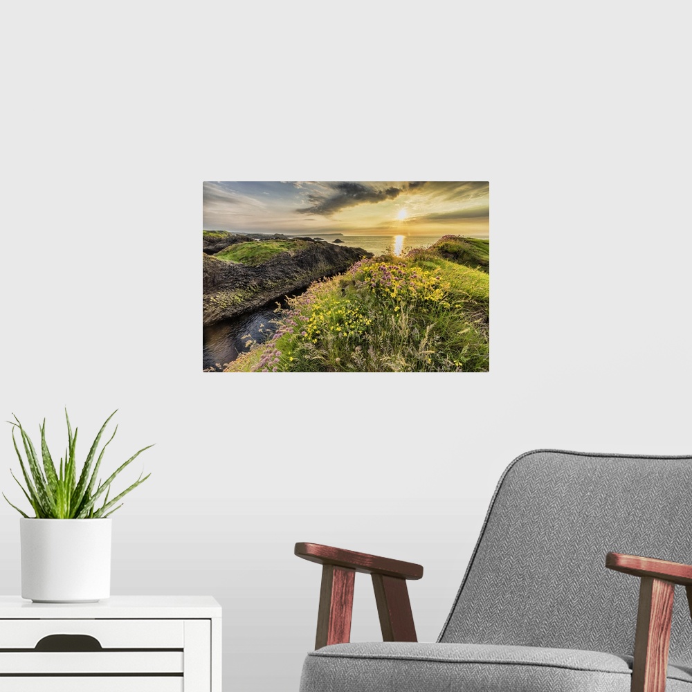 A modern room featuring Sunset and flowers on the coast of Ireland.