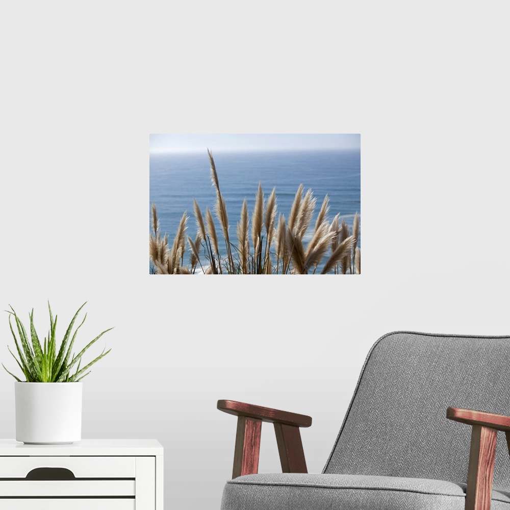 A modern room featuring Pampas Grass Above the Ocean, Big Sur, California