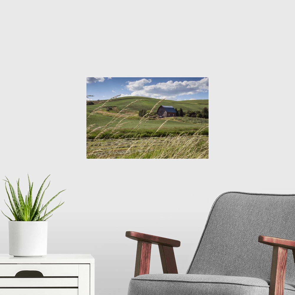 A modern room featuring Red barn and green wheat fields in the Palouse, Washington