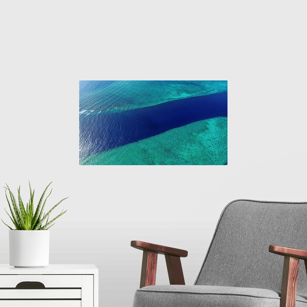 A modern room featuring The Great Barrier Reef Of Australia