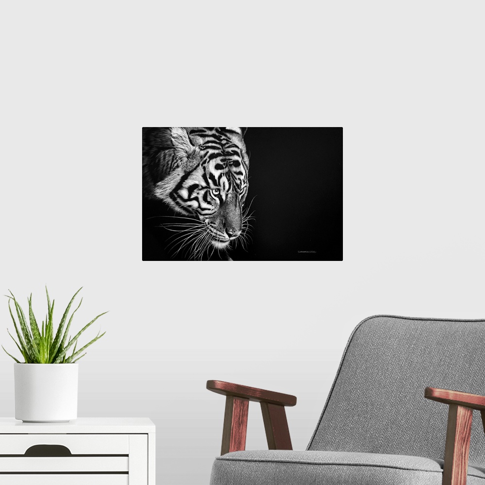 A modern room featuring This scratchboard is the ideal medium to capture the fur of this Majestic Cat who is concentratin...