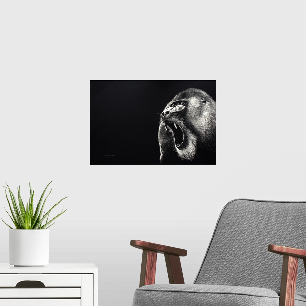 A modern room featuring This scratchboard of this growling Mandrill who was warning his intruder. The eyes and his soft f...