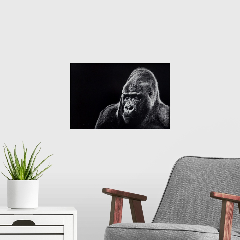 A modern room featuring A powerful head and shoulders portrait of a majestic Mountain gorilla created in the scratchboard...