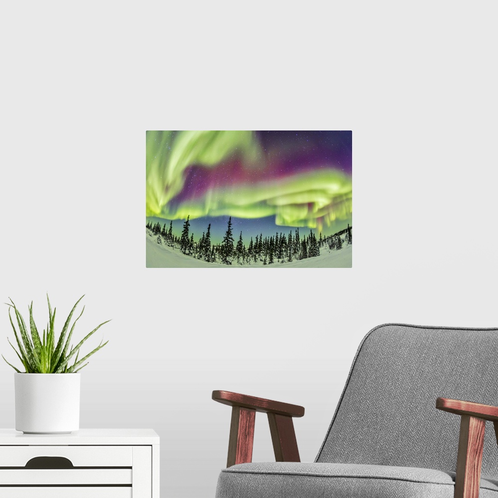 A modern room featuring February 21, 2015 - Aurora borealis over Churchill, Manitoba, Canada.