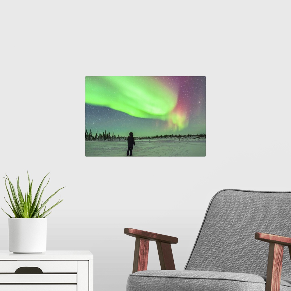 A modern room featuring The aurora borealis of February 3-4, 2014 seen from Churchill, Manitoba, Canada. Vega is setting ...
