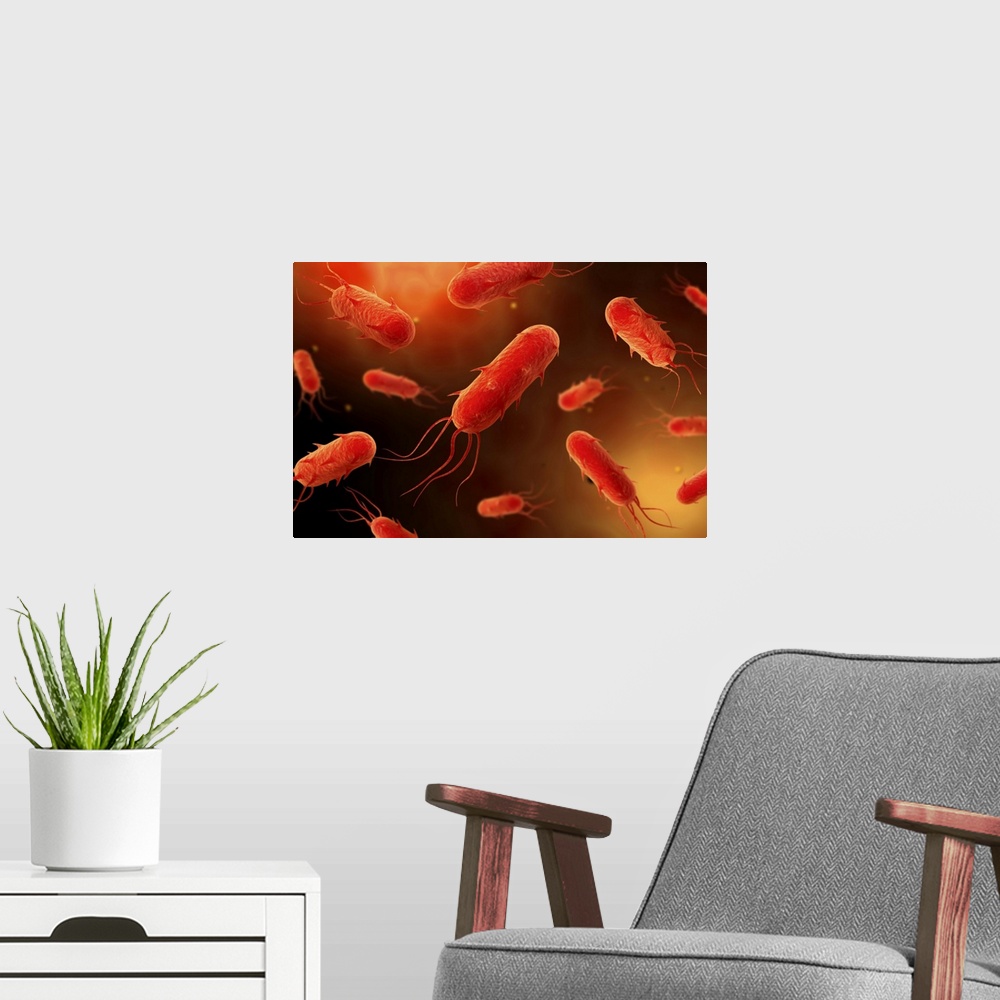A modern room featuring Conceptual image of flagellate bacterium.