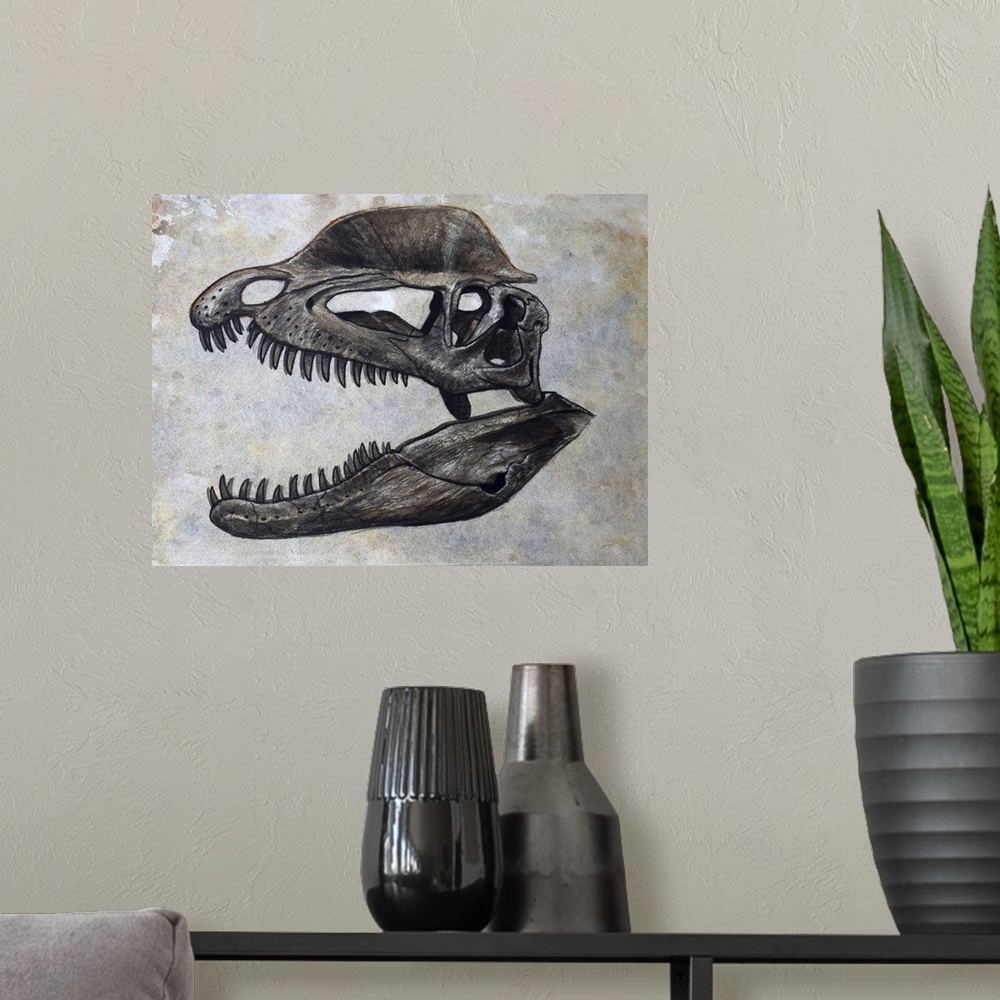 A modern room featuring Dilophosaurus dinosaur skull on textured background.