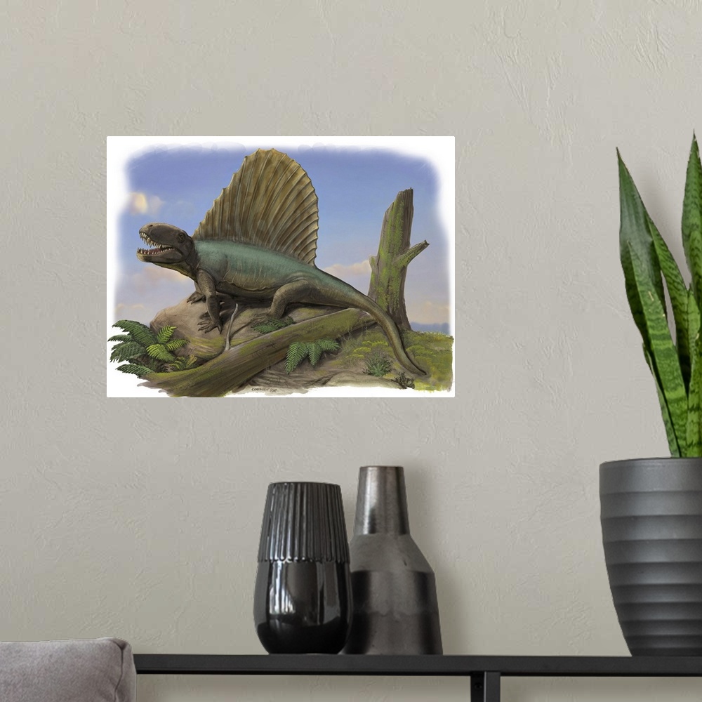 A modern room featuring Dimetrodon limbatus, a prehistoric animal.