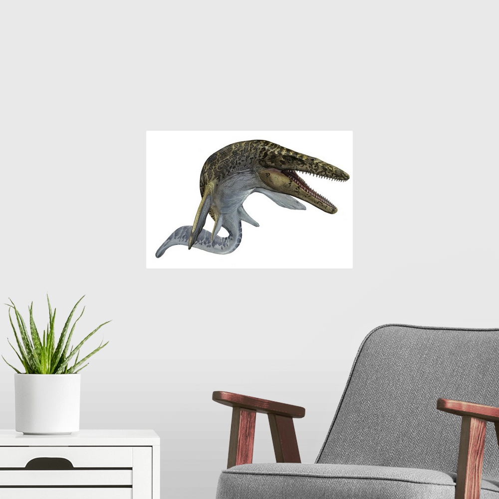 A modern room featuring Illustration of a Mosasaurus from the Cretaceous period.