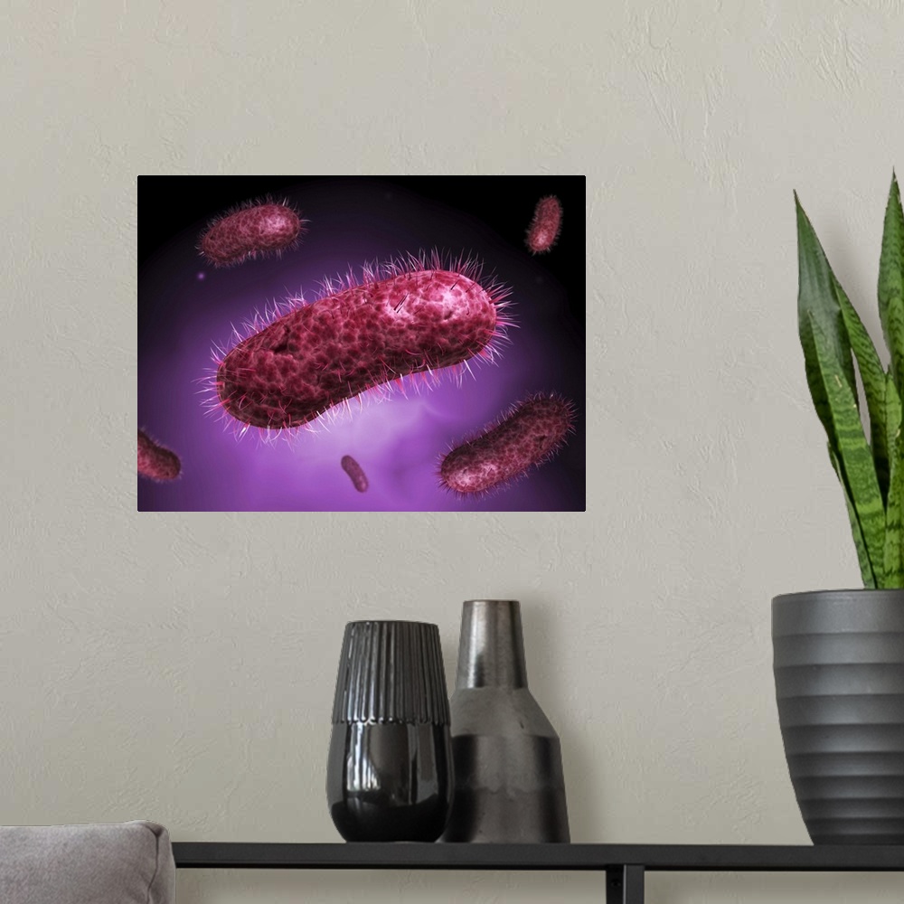 A modern room featuring Microscopic view of bacteria.