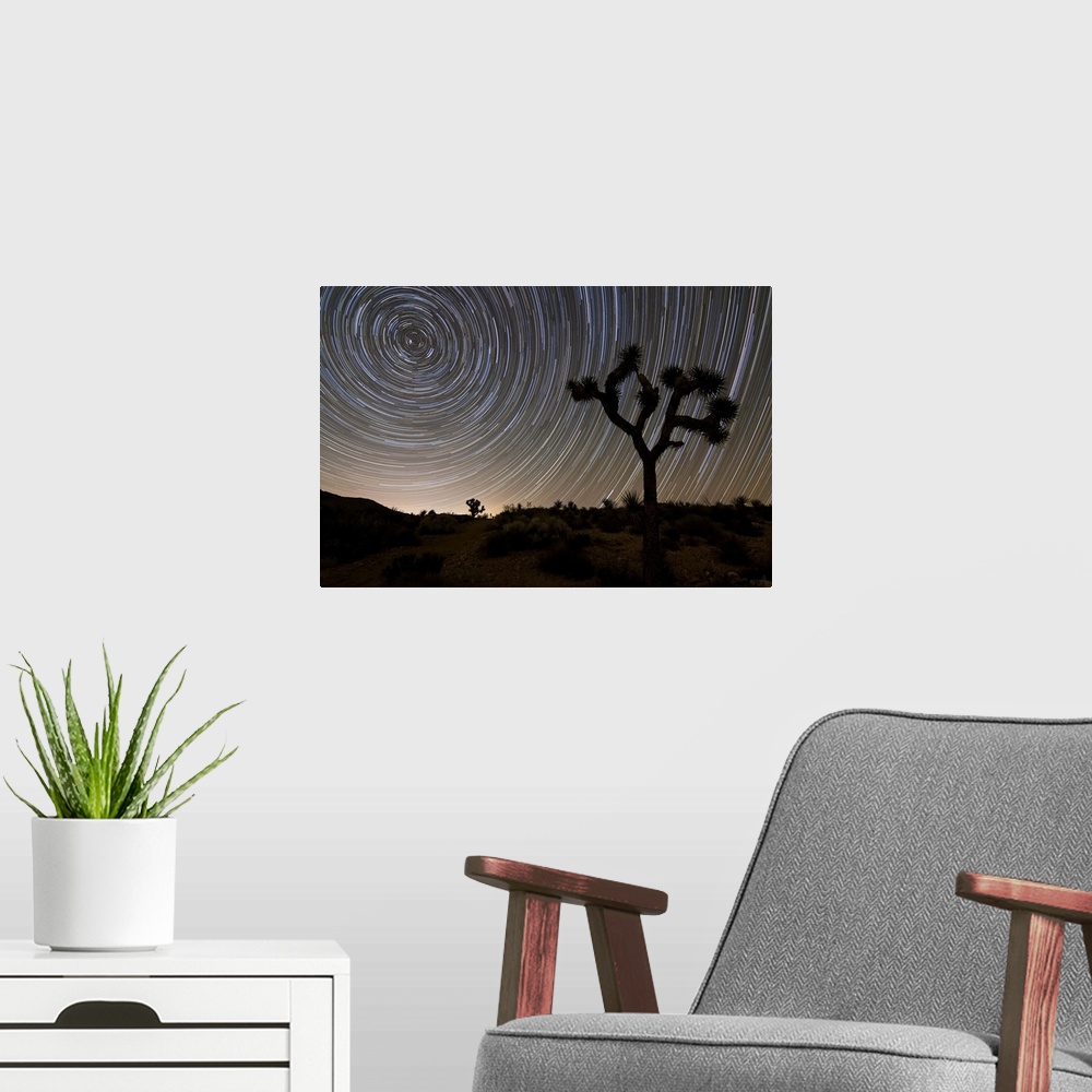 A modern room featuring Star trails and Joshua trees in Joshua Tree National Park, California
