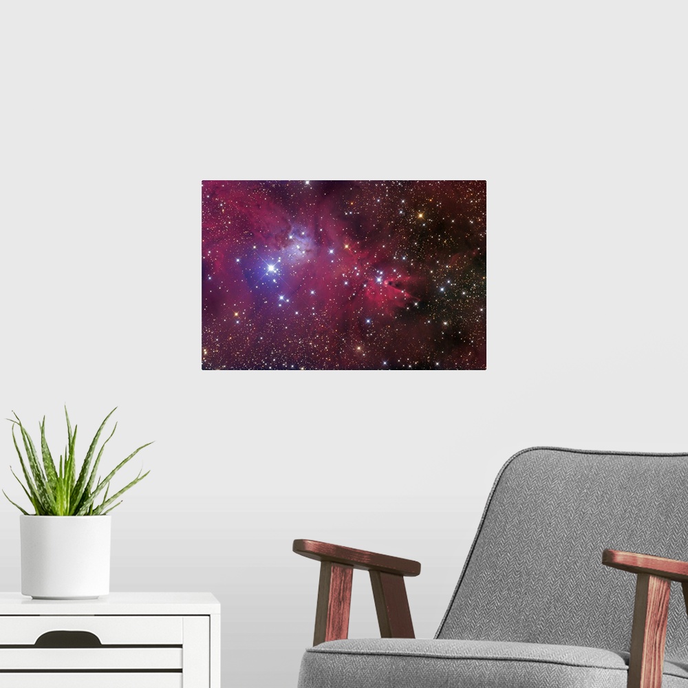 A modern room featuring The Cone Nebula