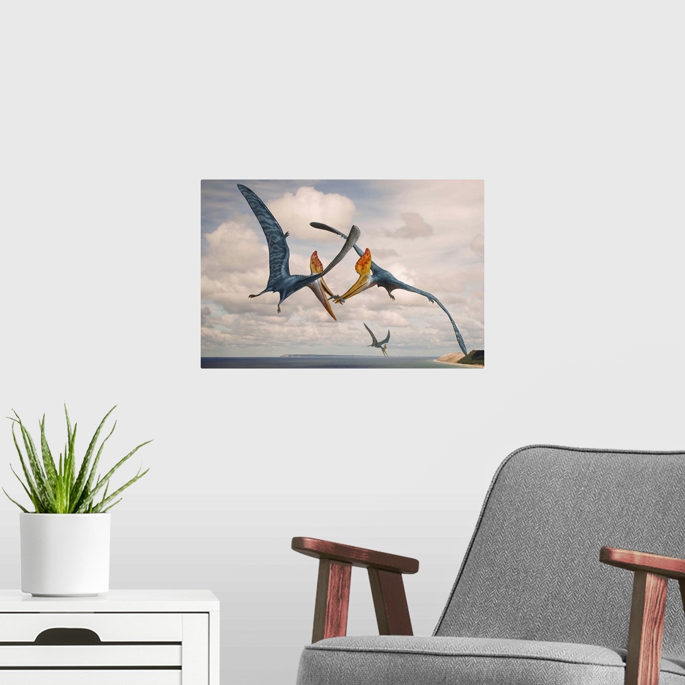 A modern room featuring Two Geosternbergia pterosaurs fighting over small fish.
